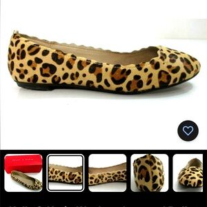 Leopard print flats size 7.5 used good condition leather upper